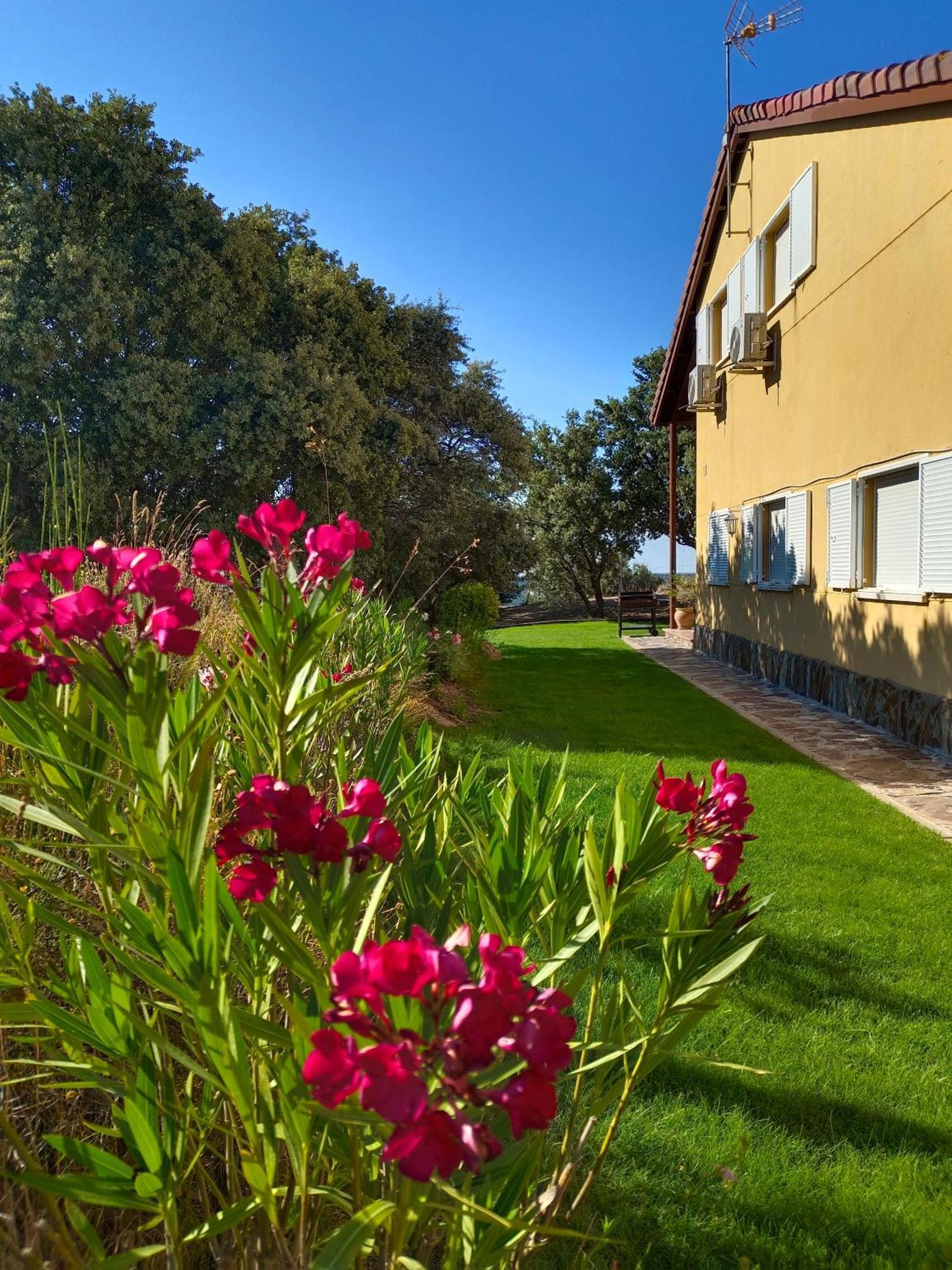 El Encinar De Gabino Villa Zarzuela del Monte ภายนอก รูปภาพ